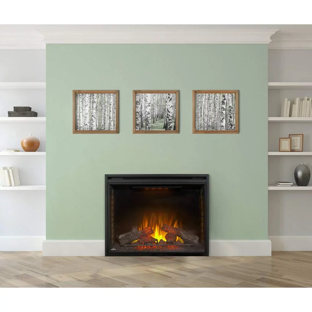 Electric in. Firebox 40 Built-in Napoleon Insert