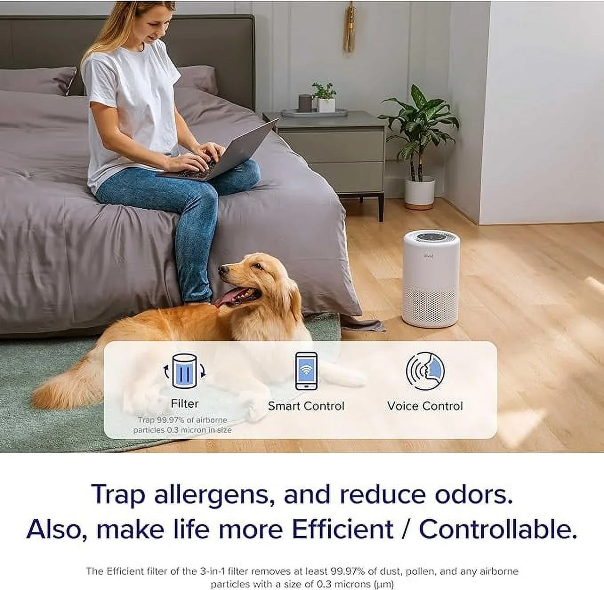 for 200S Home True Core Box and Levoit HEPA Room Large Allergy Asthma Air Open Purifier