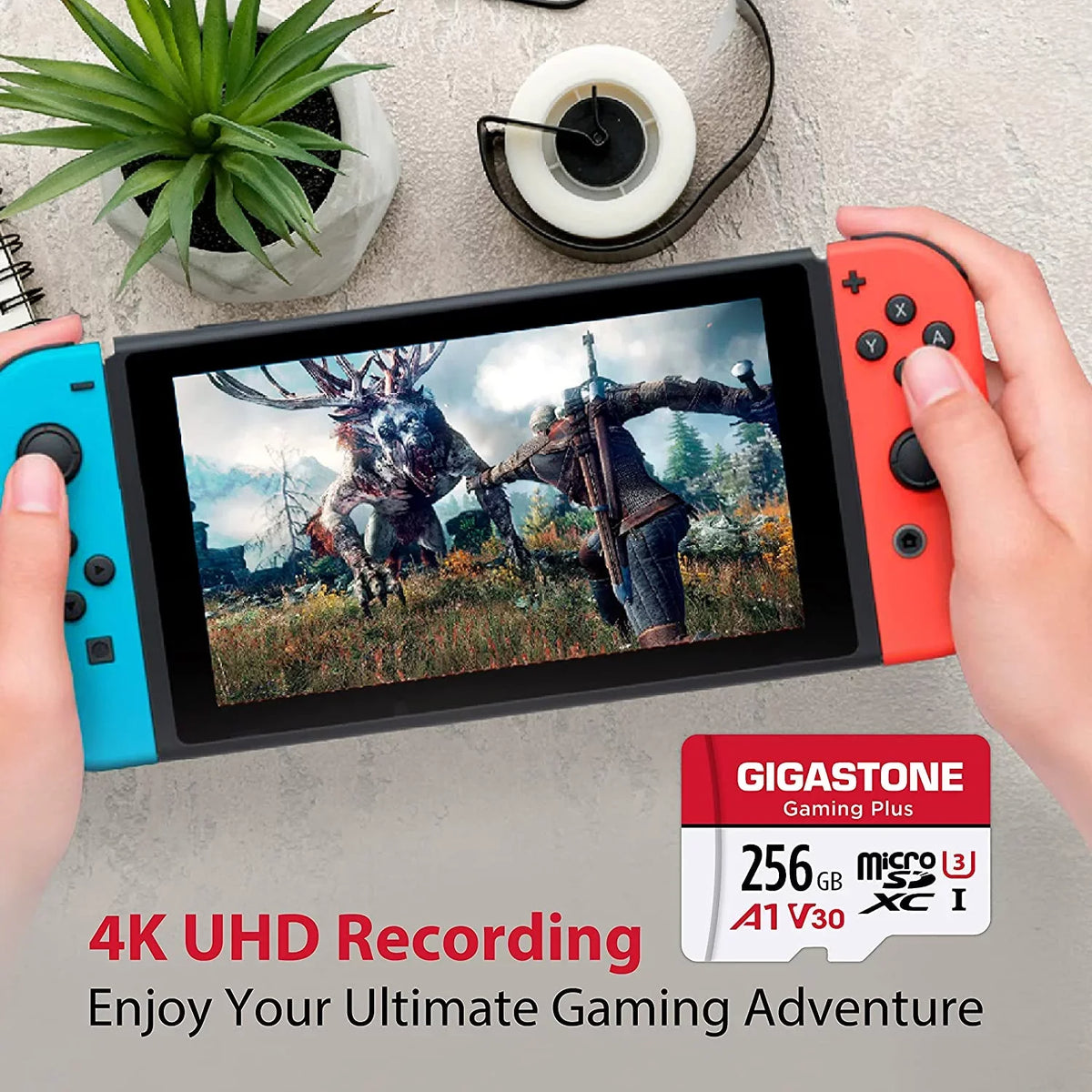 SD for 256GB Dash Wyze, Cam, Gaming [Giga] GoPro, Plus, , Nintendo-Switch, Memory roSDXC ro