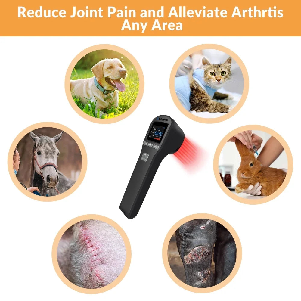 Level Therapy Pain Cat 650nm Device,for Therapy Dog 808nm,Cold Horse Laser Laser Low Relief,Handheld