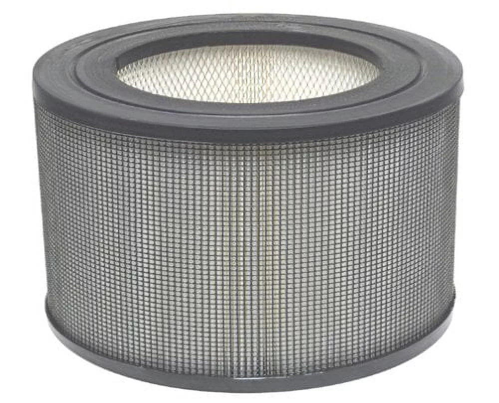 21500/21600 Purifier Air Honeywell 12 MERV Filter