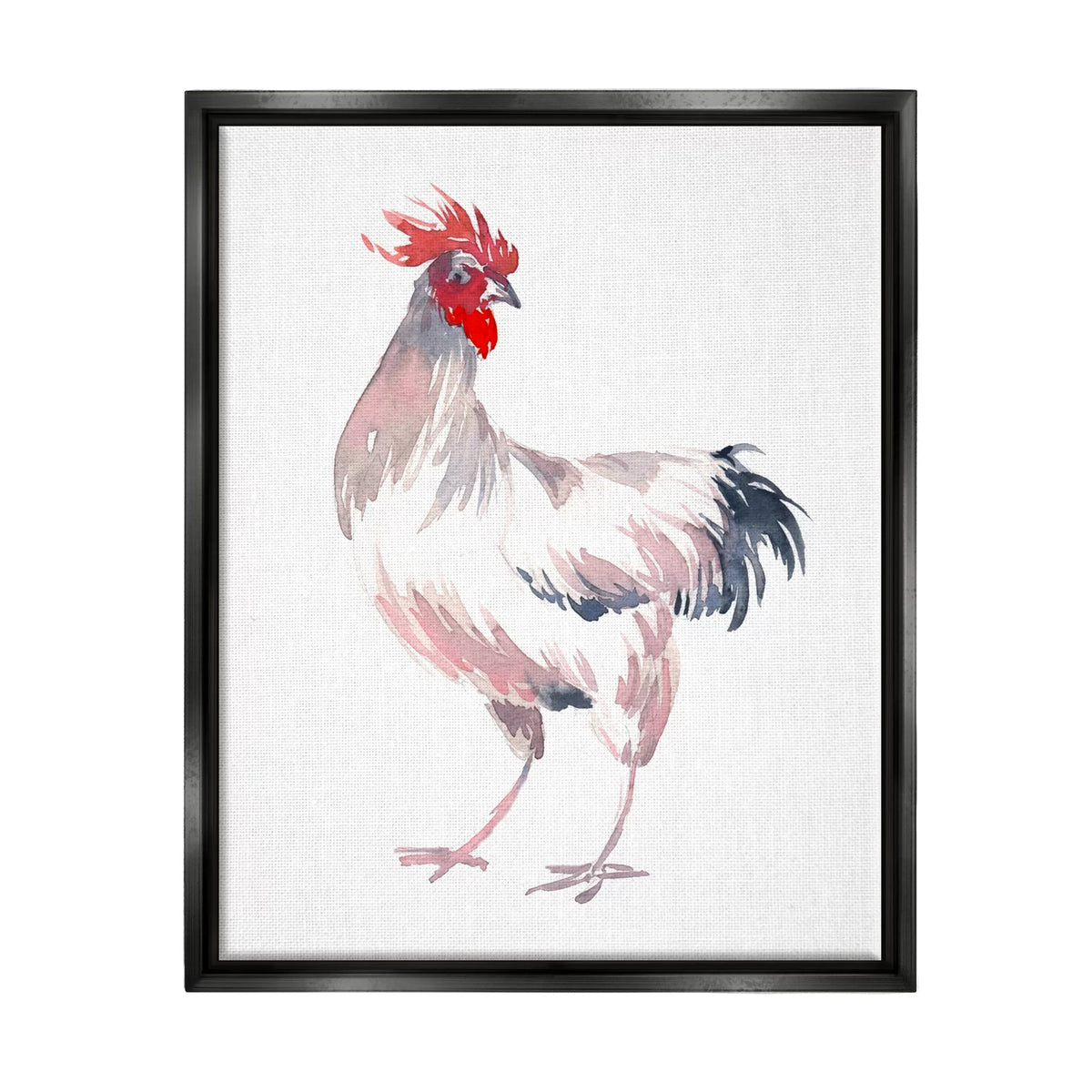 Stupell Print Black Rooster White 17 Floater Art Wall Insects Portrait Animals Painting & Industries x 21 Framed Art,