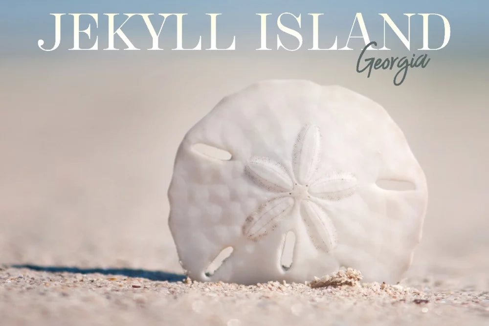 Dollar Puzzle, Jigsaw Challenging Island, Sand dimension Family, on USA) Georgia, 19x27, Made (1000 for in and Puzzle Adults Beach Piece Jekyll