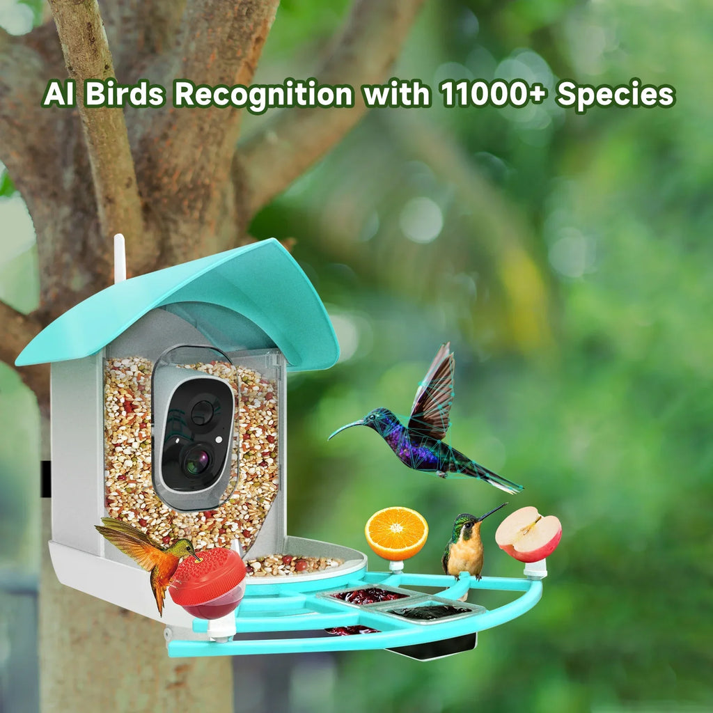 Camera Surveillance With Solar Ai Powered Species Owsoo Resolution Wifi App Pir Feeder Video camera,PirAi Camera Vico App 1080pVideo Feeder Wireless Wifi Video Camera Arealer 1080p