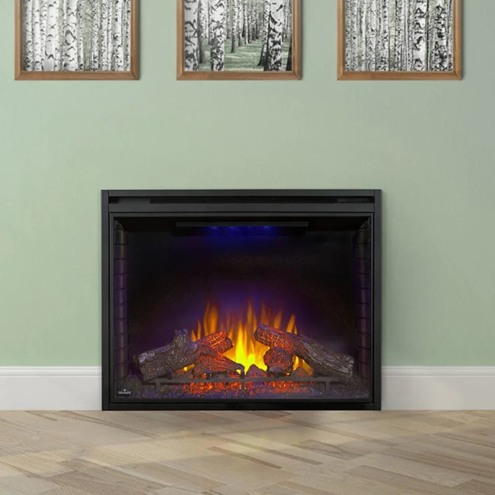 Electric in. Firebox 40 Built-in Napoleon Insert