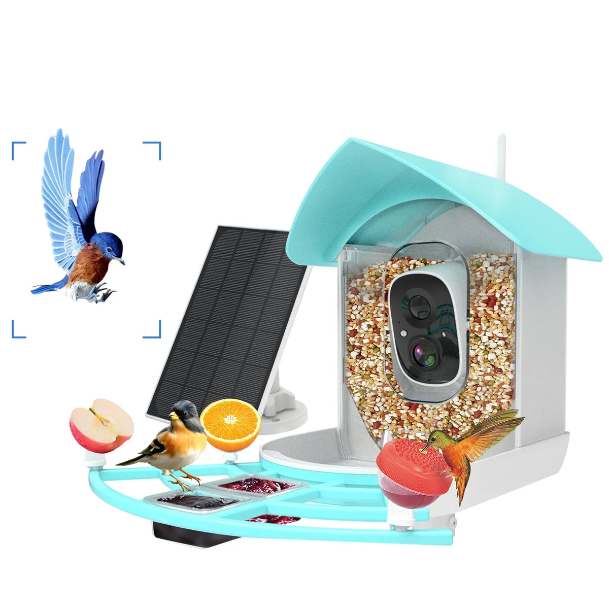 Camera Surveillance With Solar Ai Powered Species Owsoo Resolution Wifi App Pir Feeder Video camera,PirAi Camera Vico App 1080pVideo Feeder Wireless Wifi Video Camera Arealer 1080p