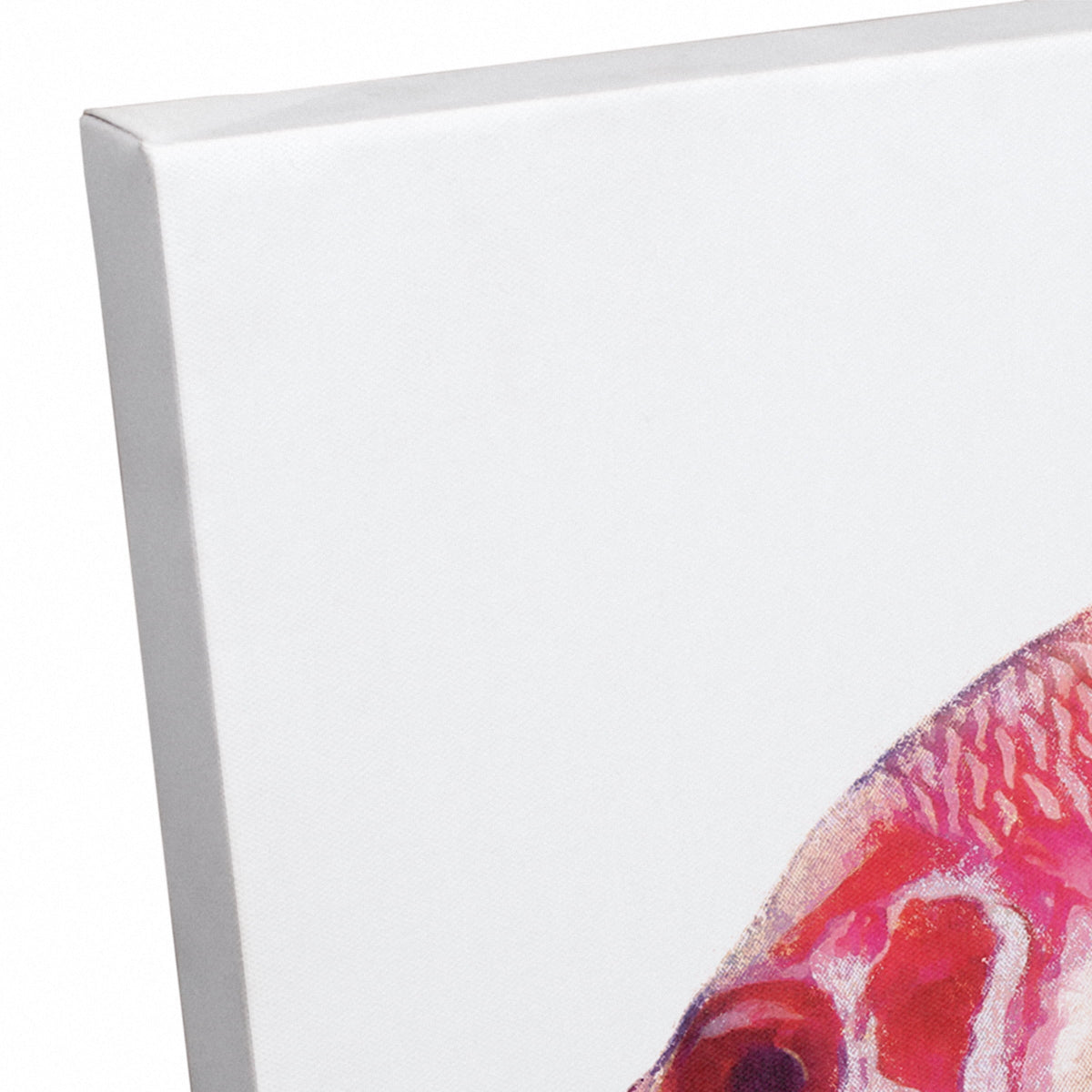 Red Creative Fish Canvas Snapper Art Wall Products Tropical 12x18