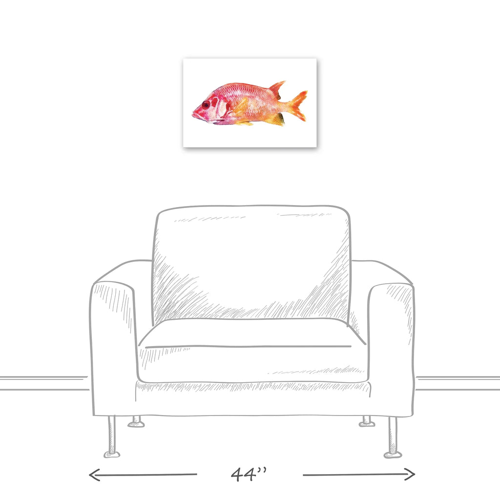 Red Creative Fish Canvas Snapper Art Wall Products Tropical 12x18