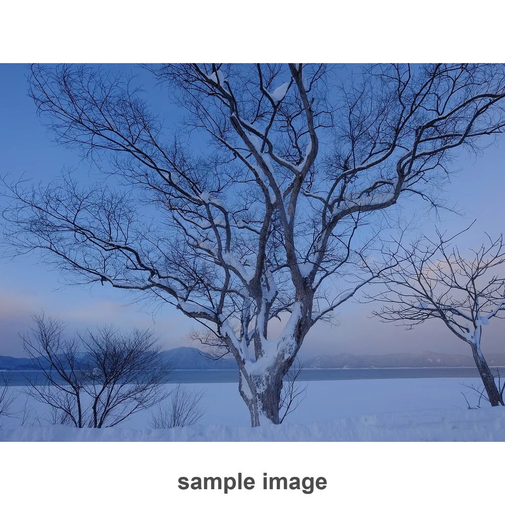 Lens 10-24mm R 16412188 f/4 FUJIFILM OIS XF
