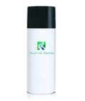 Casablanca WA590F Spray White Astra Saturn Aerosol 12oz Touch Up
