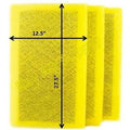 Replacement Cleaner 14x30 Pack) (3 Supply Filter RayAir Pads Air MicroPower Guard