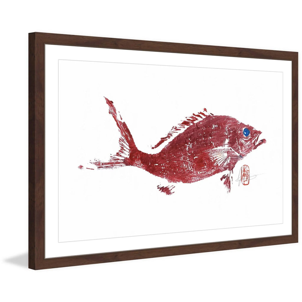 Painting Framed "Red 2" Snapper Print