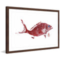 Painting Framed "Red 2" Snapper Print