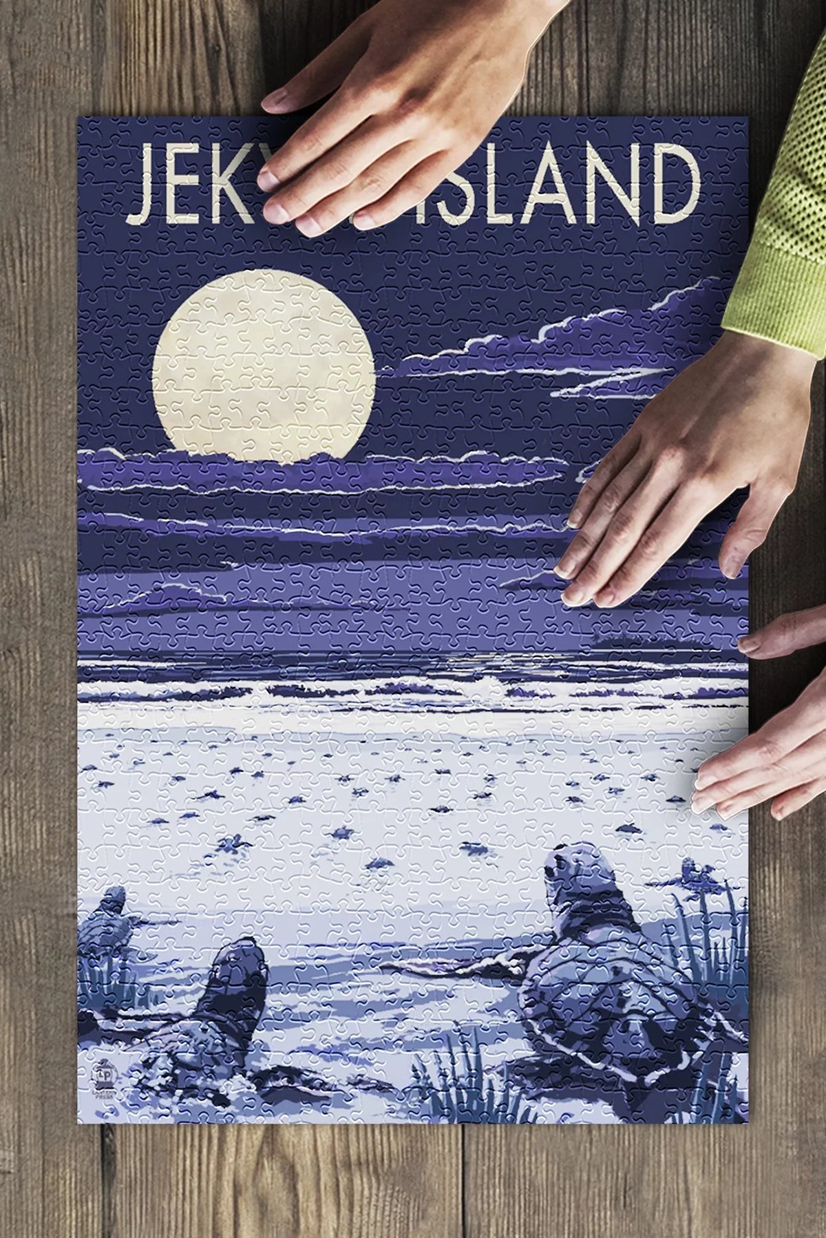 Night Sea for Adults (19x27 USA) Made Piece Puzzle Turtles at Hatching Jekyll Premium in 500 and Island, Jigsaw Family, inches, Georgia,