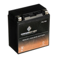 650cc Ah, CCA) Volt,14 Kawasaki Chrome Jet 230 (16L-BS YTX16L-BS Ski 1995 12 Battery for Jf650 Battery X2