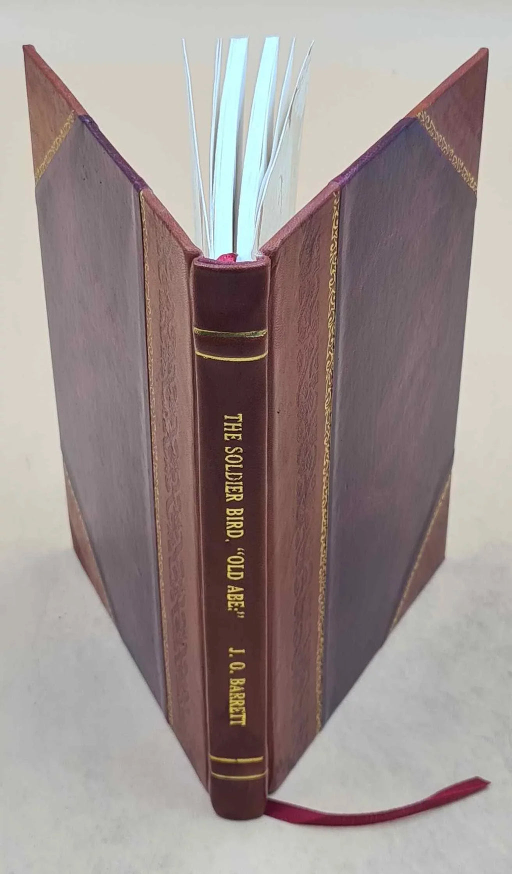 J. By eagle served the [Leather three the Bound] "Old live 1876 rebellion. that The great years' Barrett. bird. Wisconsin, Abe": soldier of O. a campaign war in