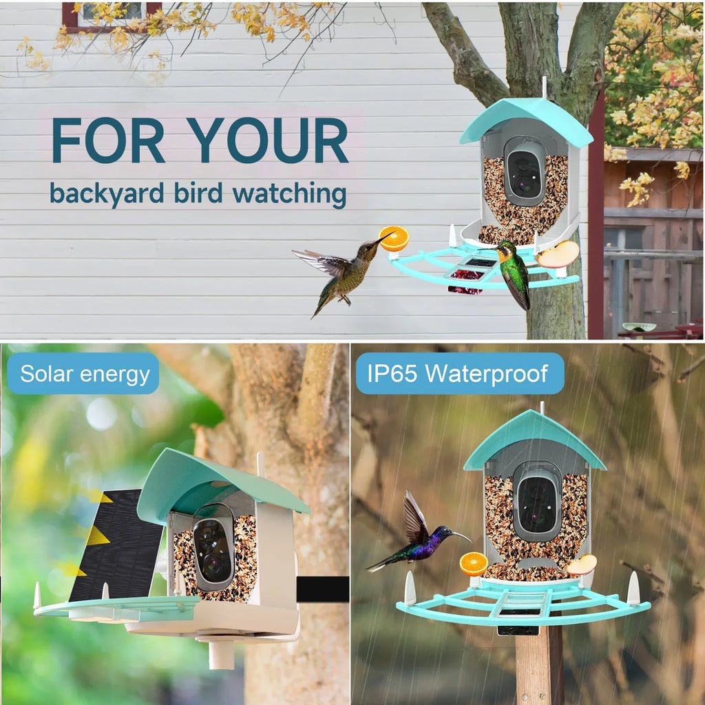 Camera Surveillance With Solar Ai Powered Species Owsoo Resolution Wifi App Pir Feeder Video camera,PirAi Camera Vico App 1080pVideo Feeder Wireless Wifi Video Camera Arealer 1080p