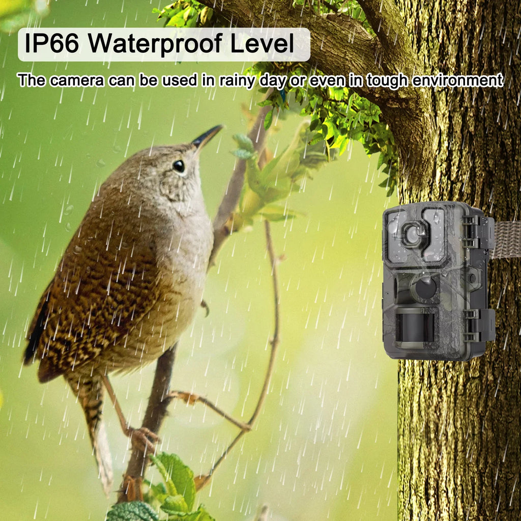 Supports Sensors 4K Wildlife Tracking Inch Time PIR IP66 Screen TFT Trail 16MP with Trigger 2.0 Infrared Color Carevas Activated 0.5s Motion Waterproof