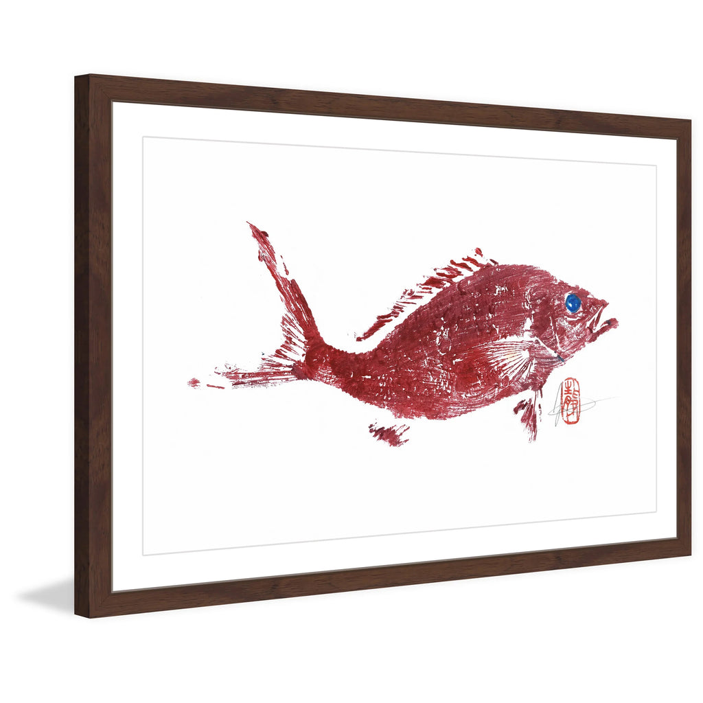 Painting Framed "Red 2" Snapper Print