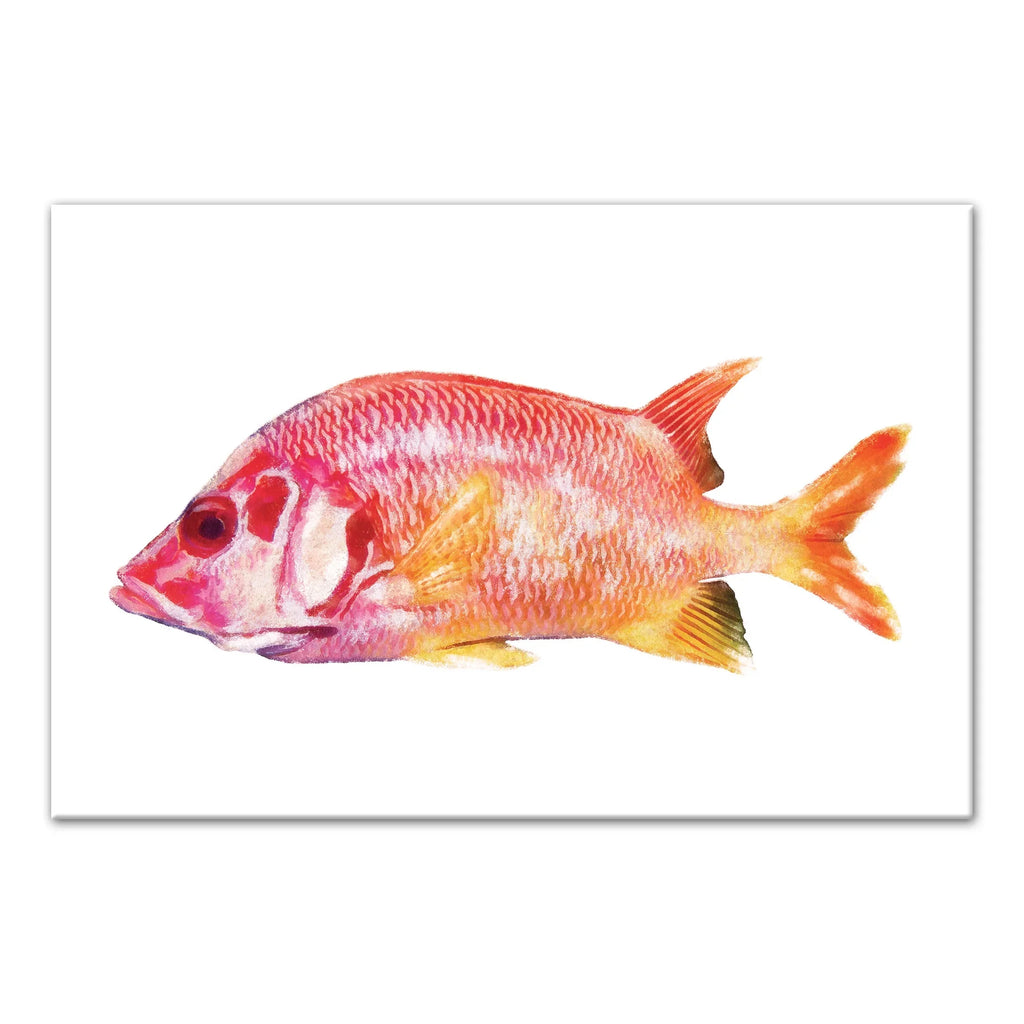 Red Creative Fish Canvas Snapper Art Wall Products Tropical 12x18