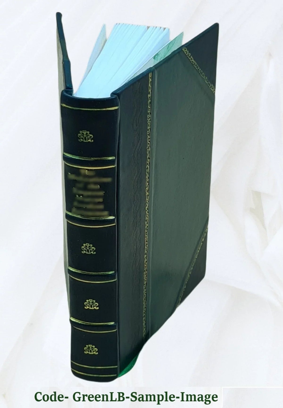 Oswaldo do Memórias v.11 [Leather Instituto Bound] 1919 Cruz. 1919 Volume