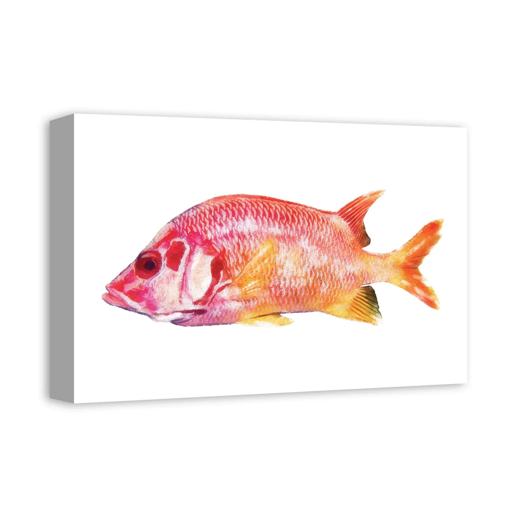 Red Creative Fish Canvas Snapper Art Wall Products Tropical 12x18