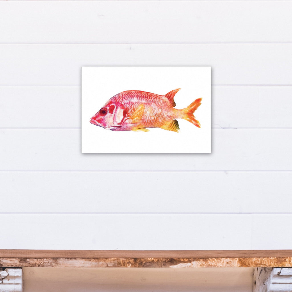 Red Creative Fish Canvas Snapper Art Wall Products Tropical 12x18