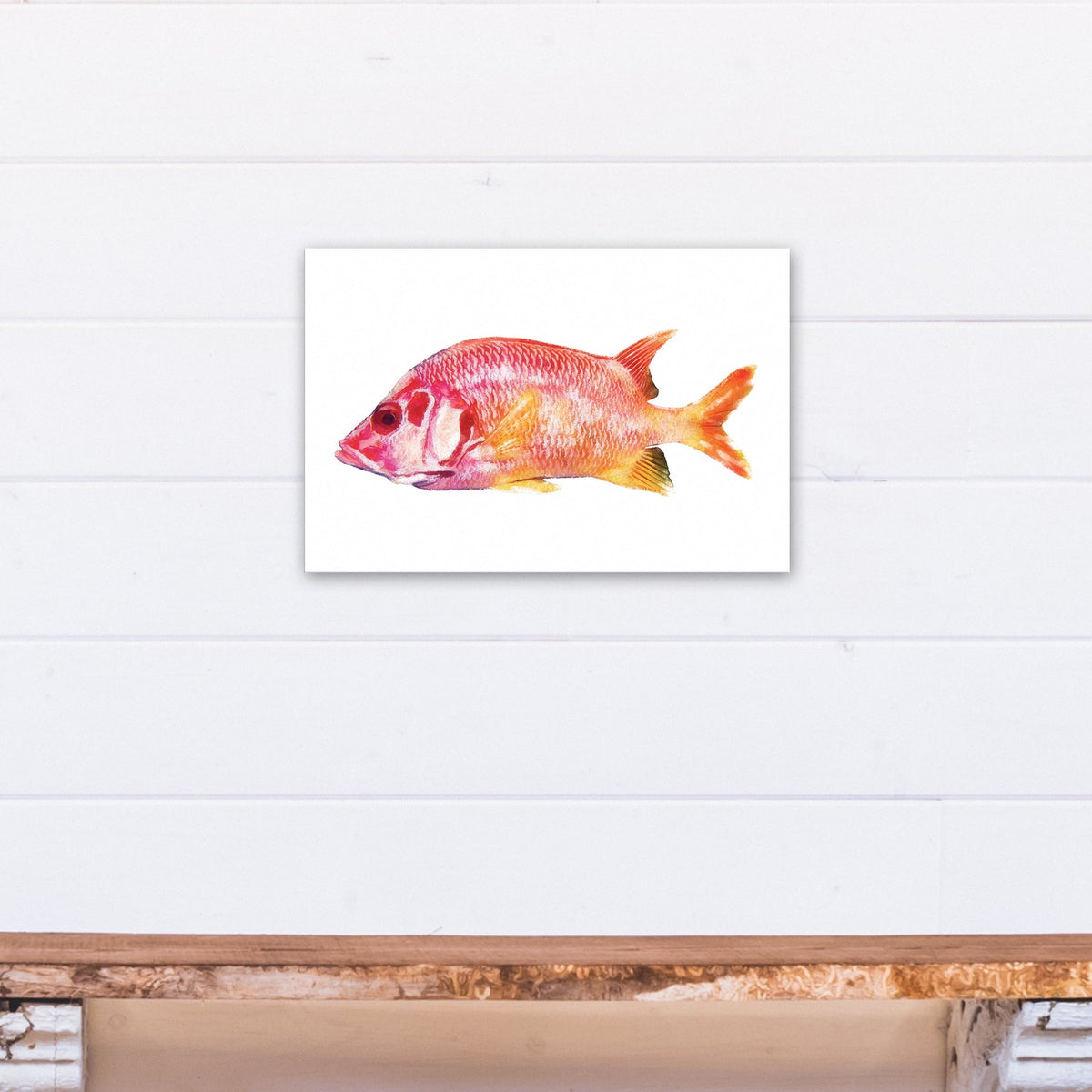 Red Creative Fish Canvas Snapper Art Wall Products Tropical 12x18